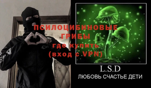 хмурый Алзамай