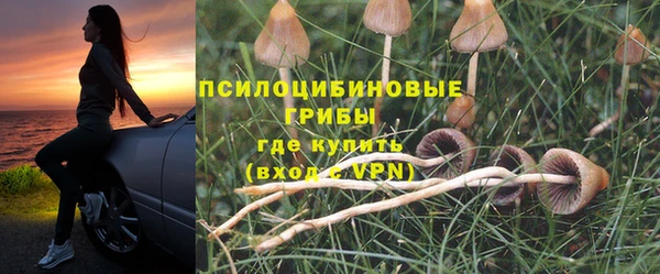 хмурый Алзамай