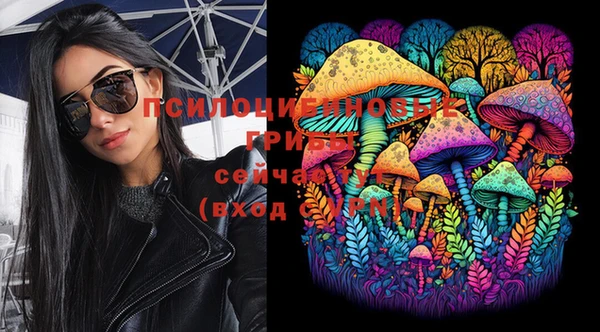 PSILOCYBIN Алексеевка