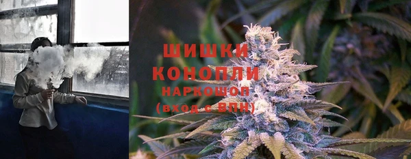 PSILOCYBIN Алексеевка