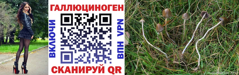продажа наркотиков  Салават  Галлюциногенные грибы GOLDEN TEACHER 